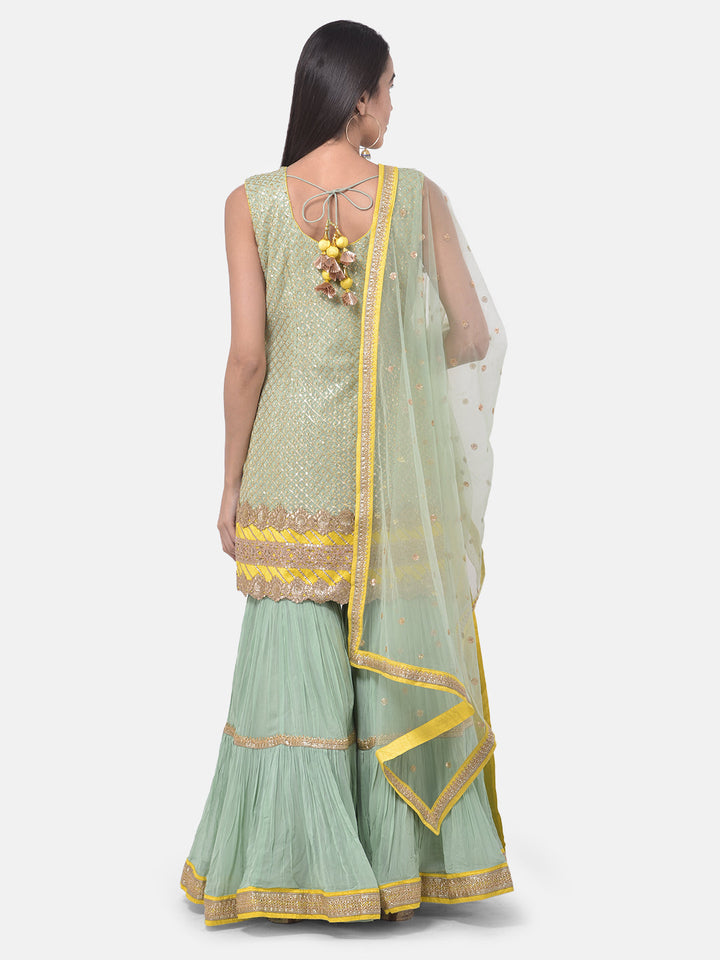 Neerus Green georgette embroidered sharara set - side view