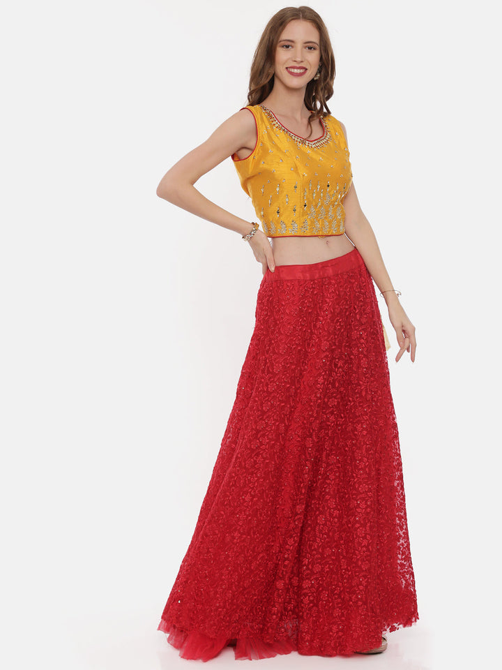 Neerus Yellow net embellished lehenga set - back view