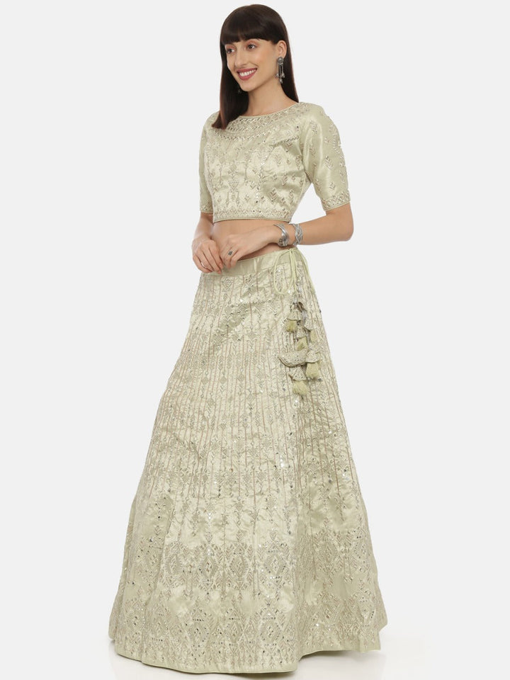 Neerus Green net embellished lehenga ghagra set - back view