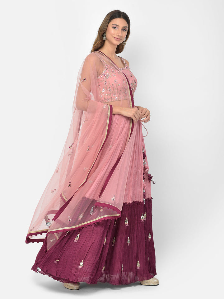 Neerus Pink georgette mirror work lehenga choli - side view