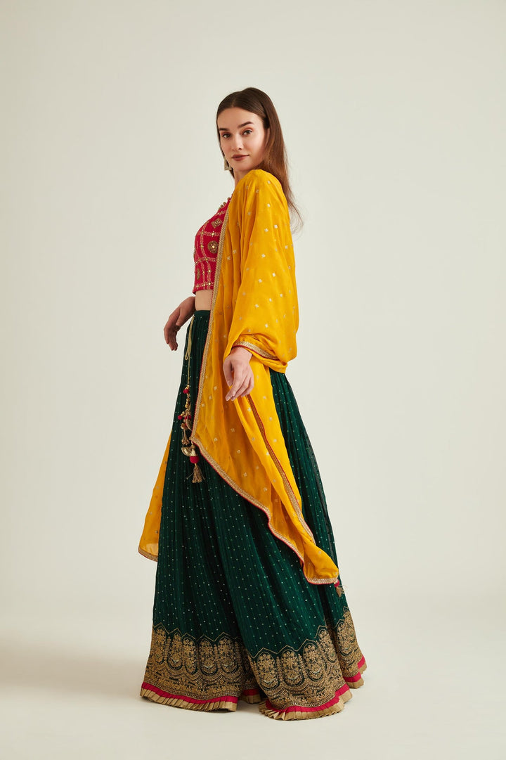 Neerus Green georgette embellished lehenga set - front view