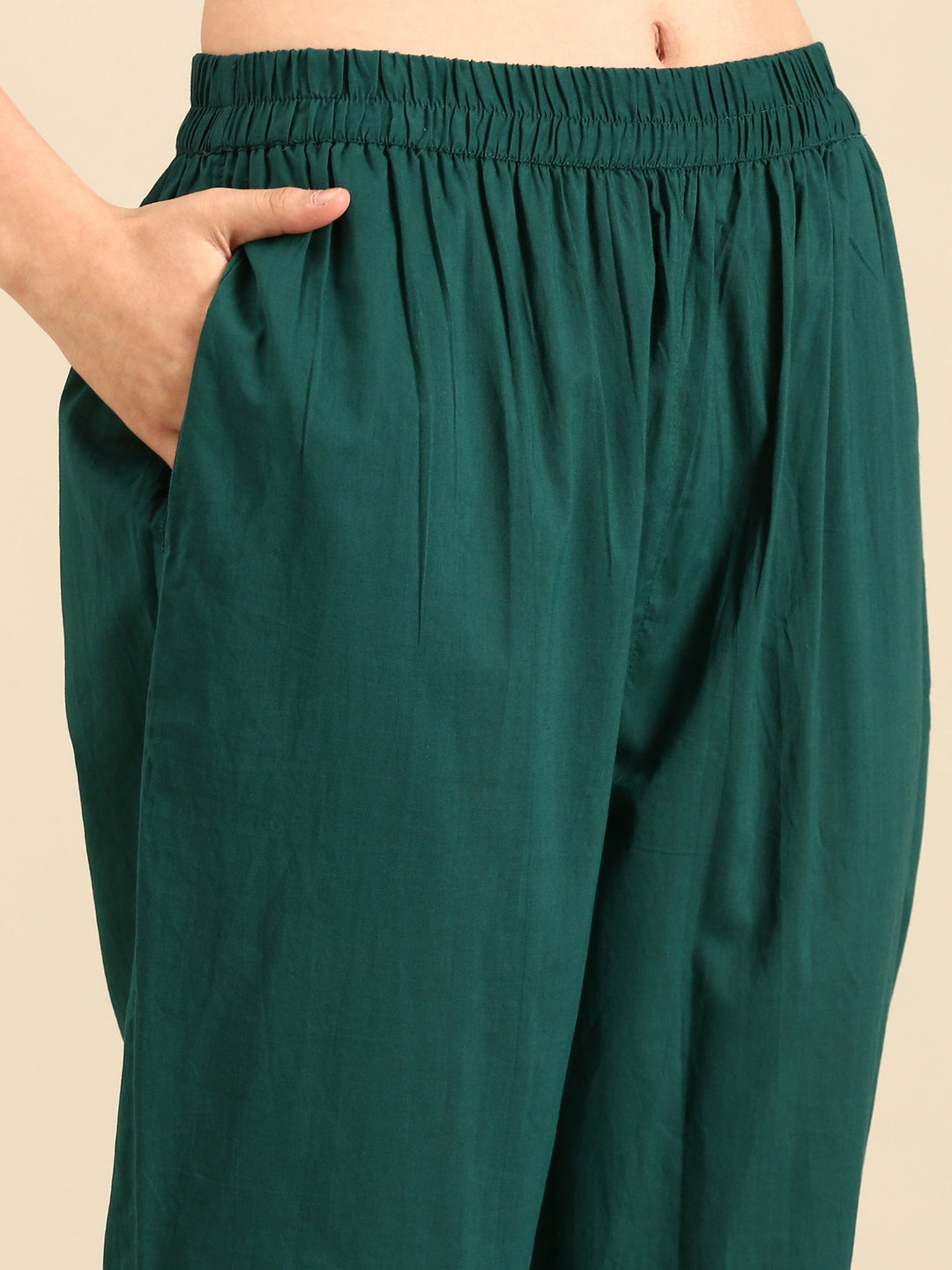 Neerus Green Organza Embellished Suit Set - detail view 3