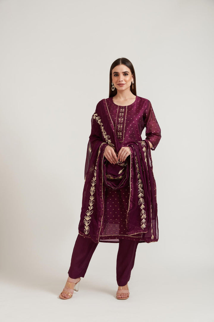 Neerus Purple Chanderi printed suit set - back view