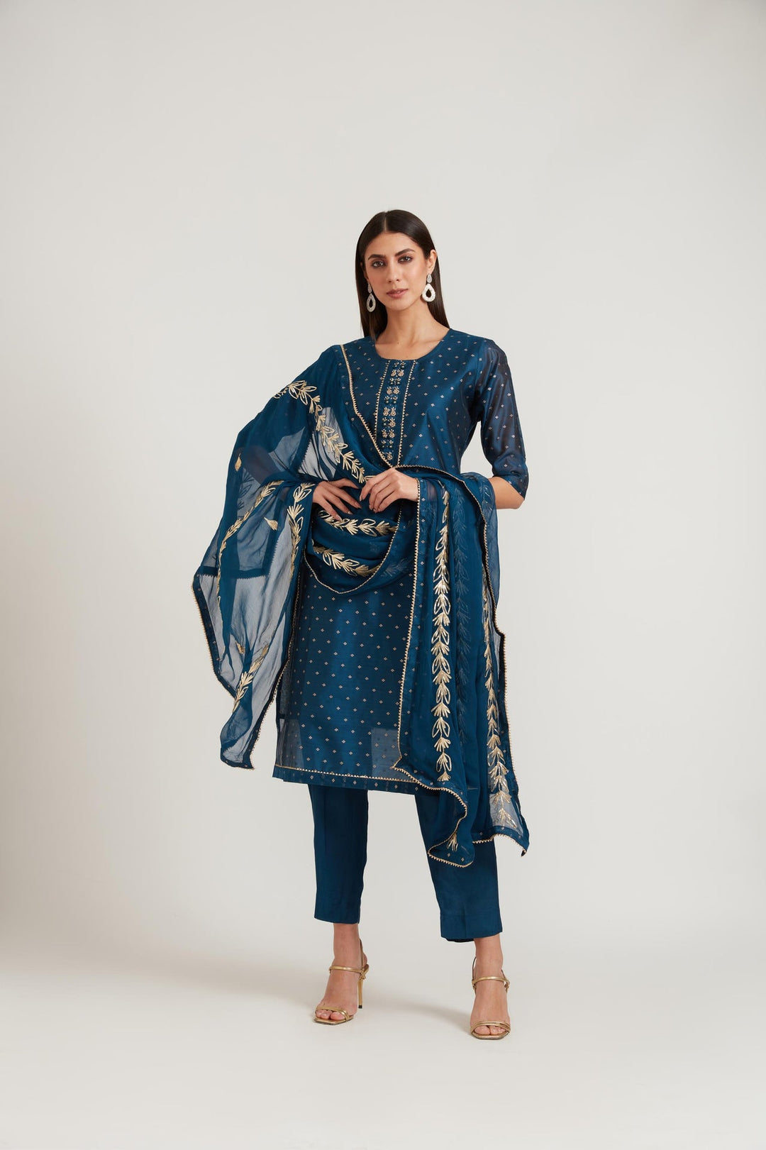 Neerus Blue Chanderi printed suit set - back view