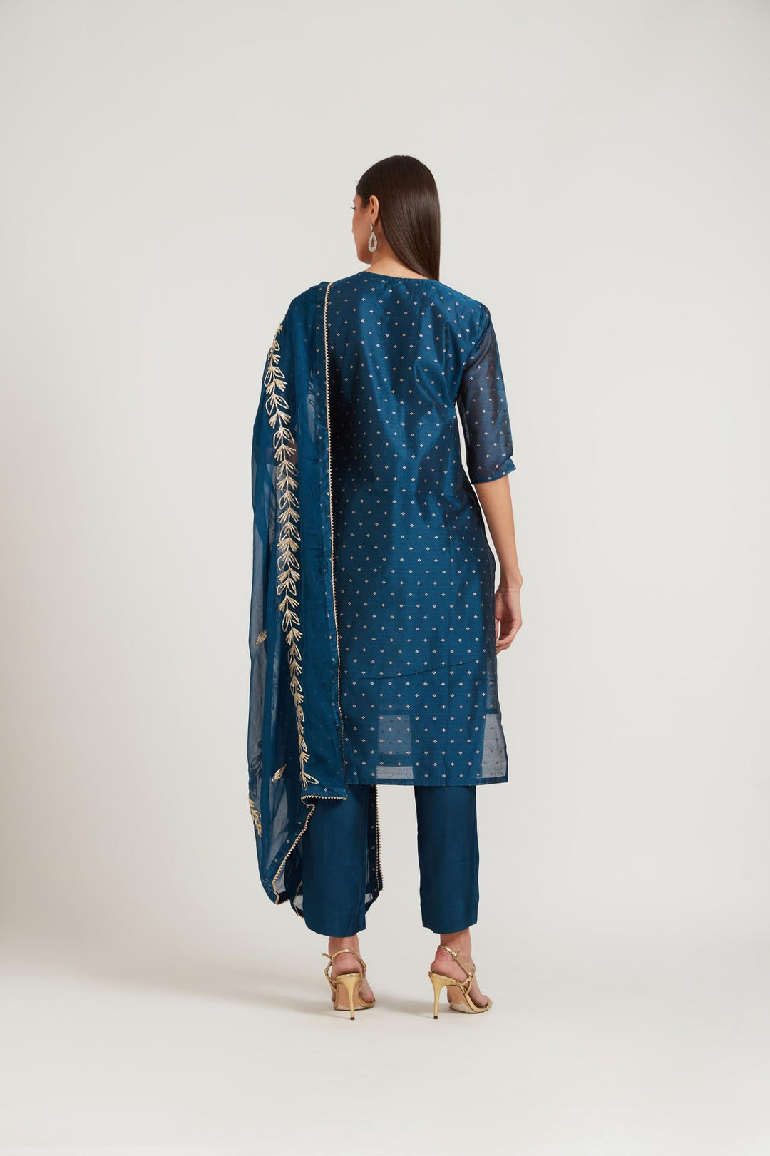 Neerus Blue Chanderi printed suit set - detail view 1