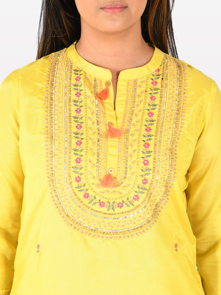 Neerus Yellow embroidered straight kurta - detail view 1