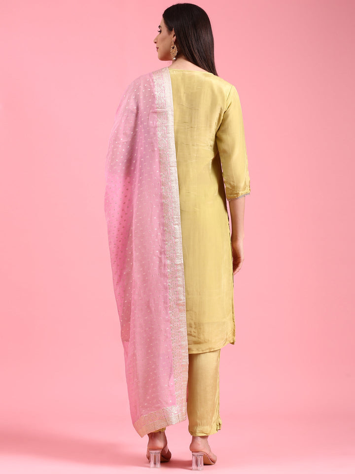 Pista Organza Hand Embroidery Three Piece Suit Set