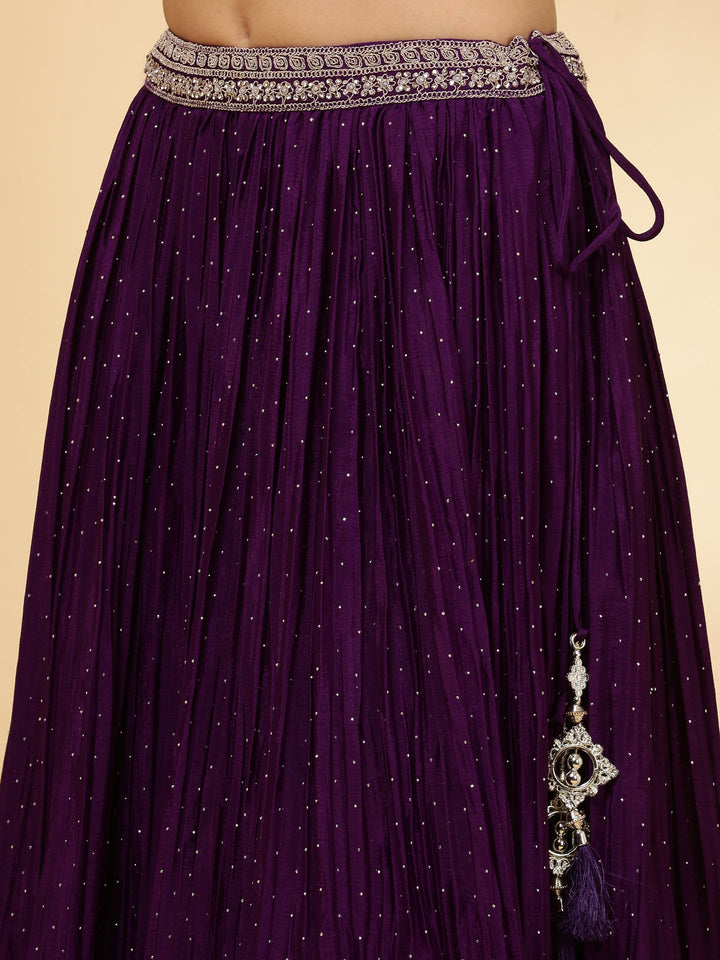 Neerus Purple chinon hand embroidered lehenga set - detail view 3