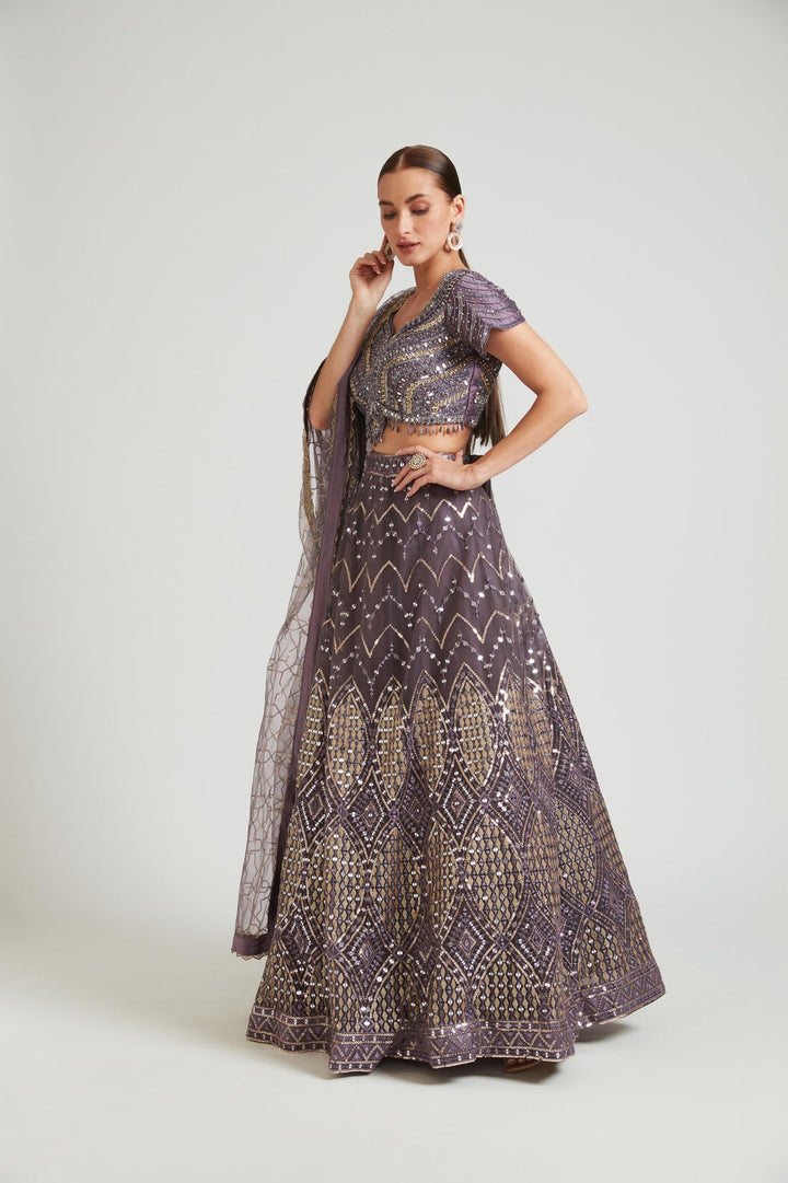 Neerus Purple net embellished lehenga choli set - front view