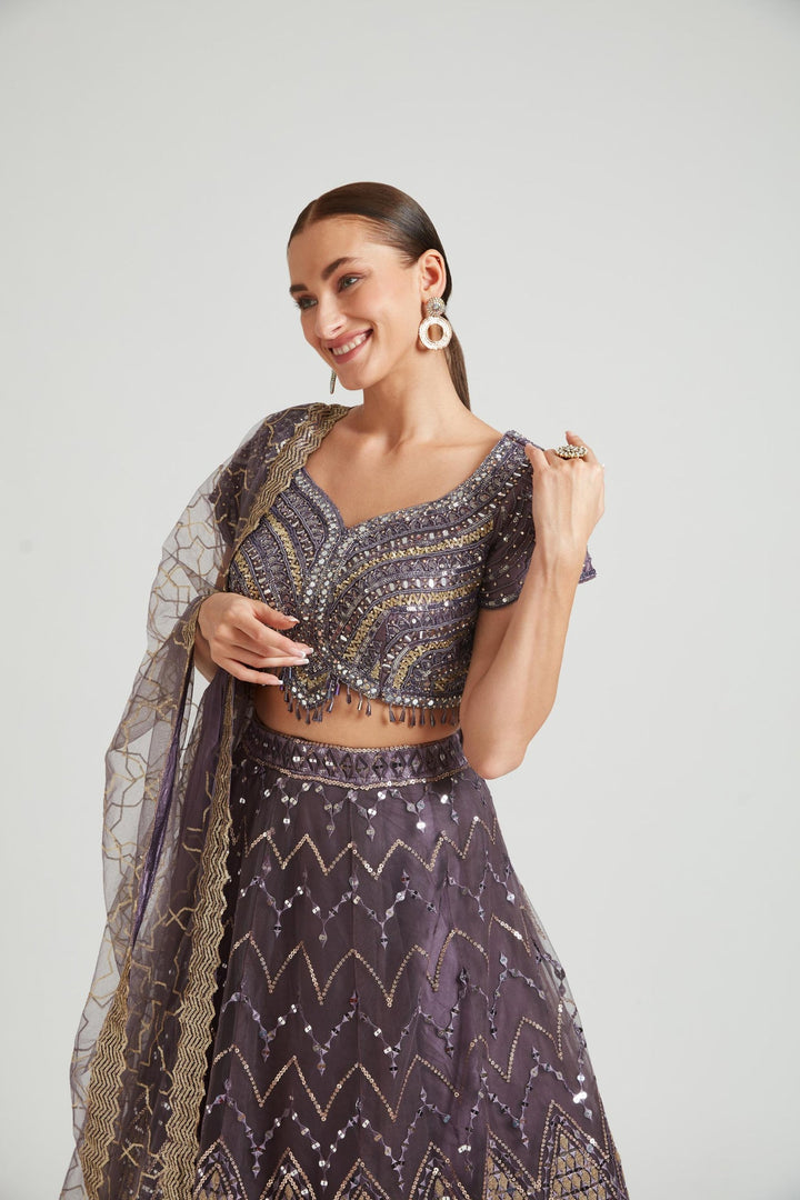Neerus Purple net embellished lehenga choli set - back view
