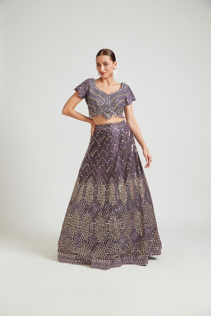 Neerus Purple net embellished lehenga choli set - detail view 1