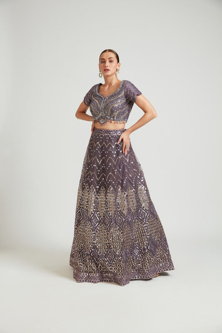 Neerus Purple net embellished lehenga choli set - detail view 2