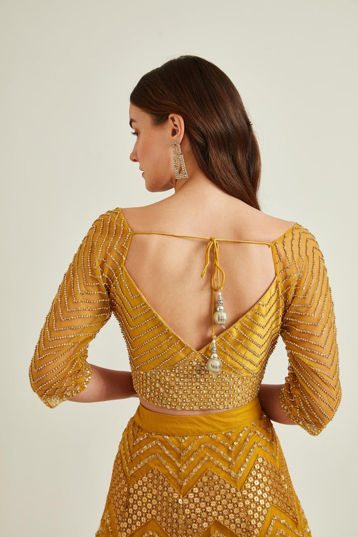 Neerus Yellow net embellished lehenga set - detail view 2