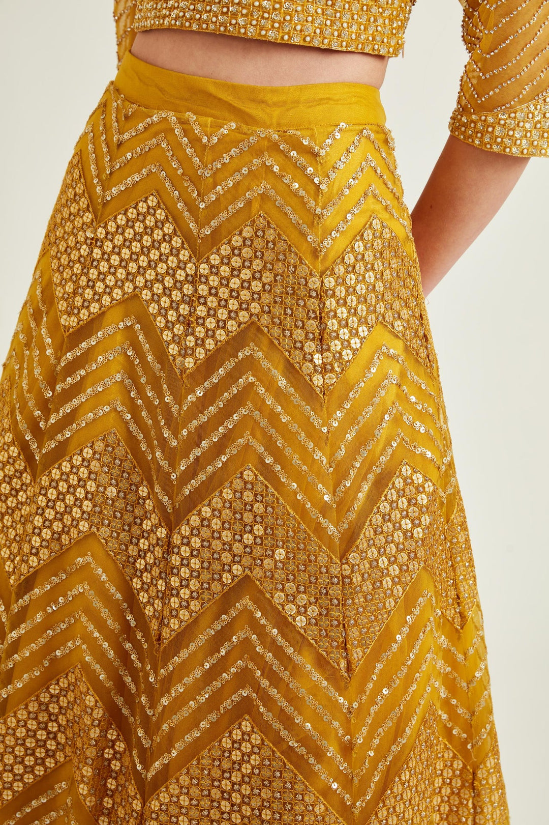 Neerus Yellow net embellished lehenga set - detail view 3