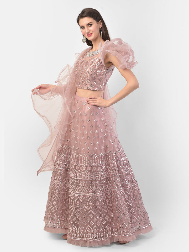 Neerus Pink net embellished lehenga set - back view
