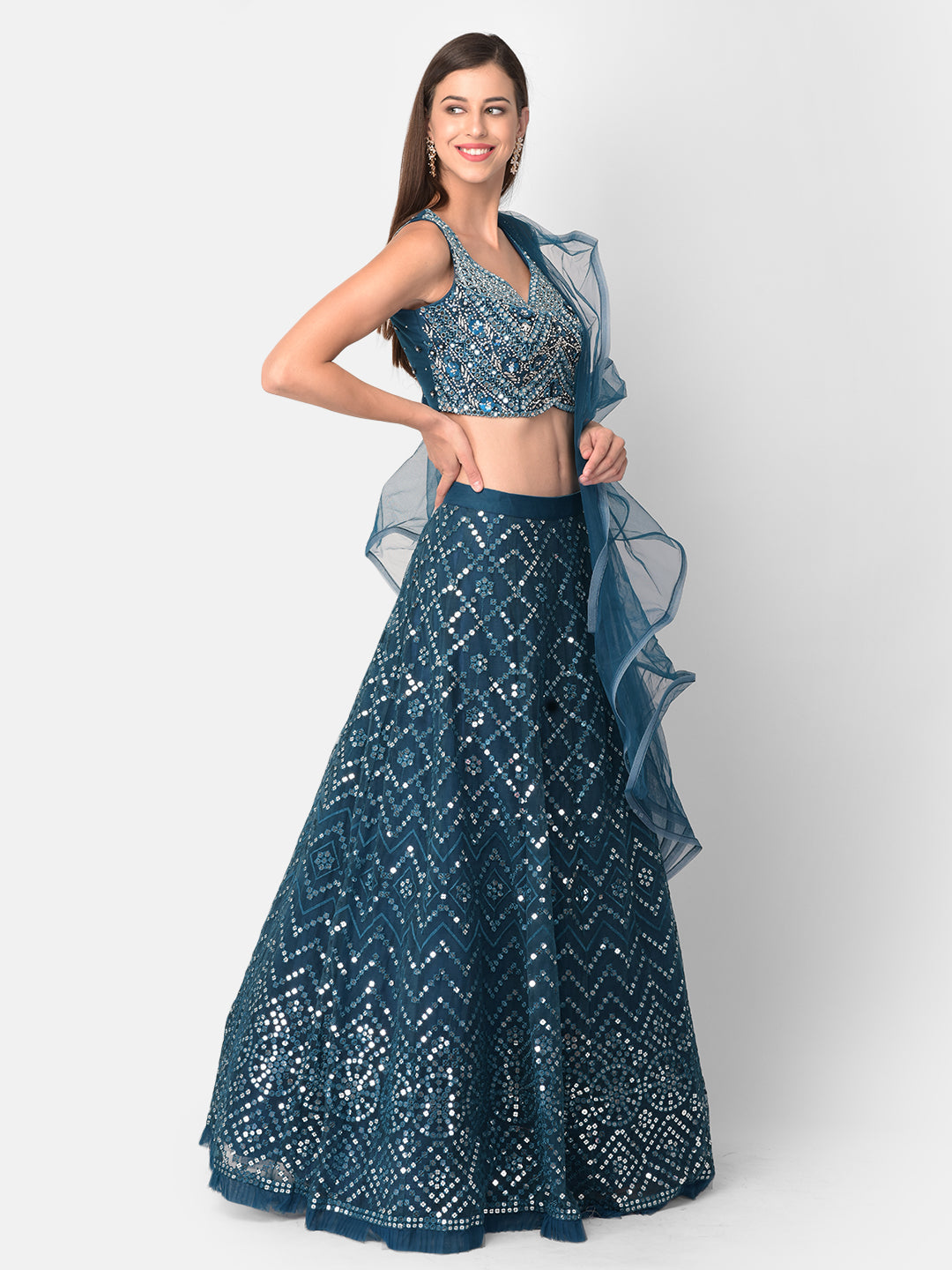 Neerus Blue net embellished lehenga set - back view