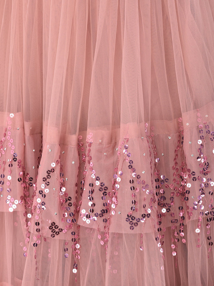 Neerus Pink net embellished lehenga set - detail view 3