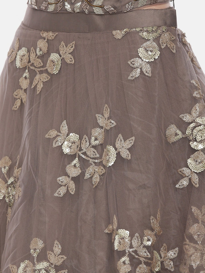 Neerus Brown net embroidered lehenga - detail view 4