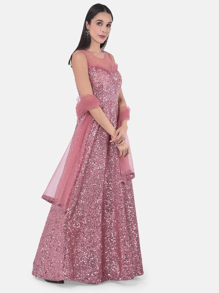 Neerus Pink net embellished gown - back view