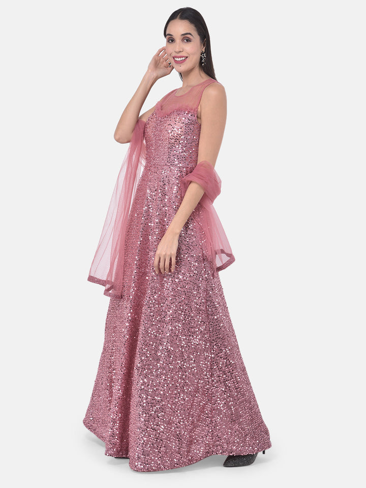 Neerus Pink net embellished gown - side view