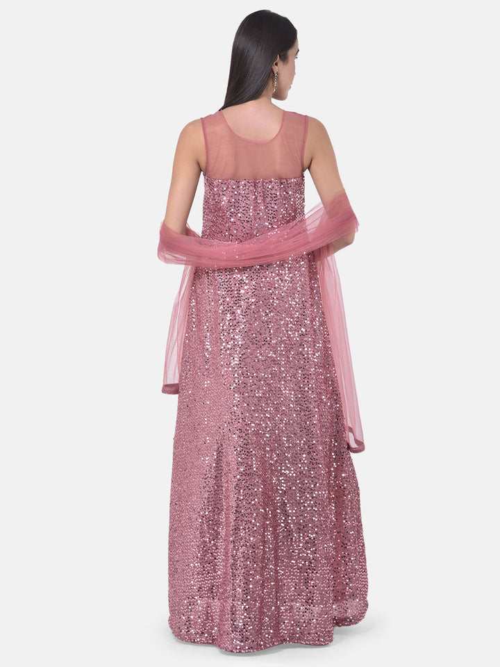 Neerus Pink net embellished gown - detail view 1