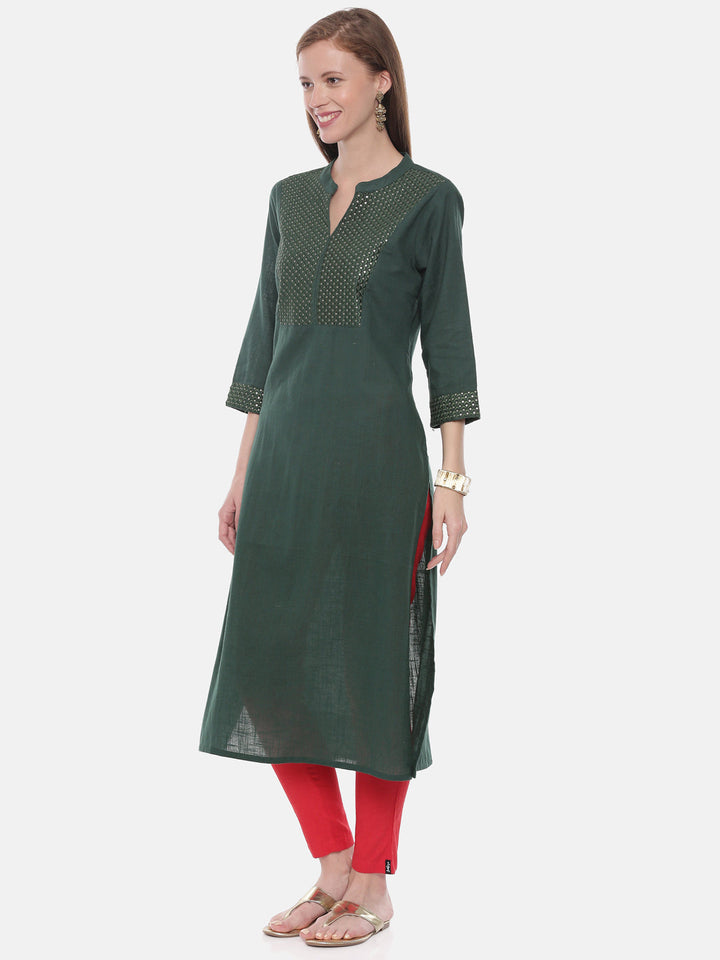 Neerus Green rayon embellished straight kurta - side view