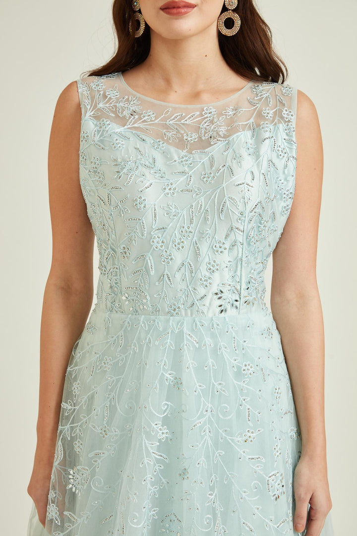 Neerus Blue net embroidered gown - detail view 1