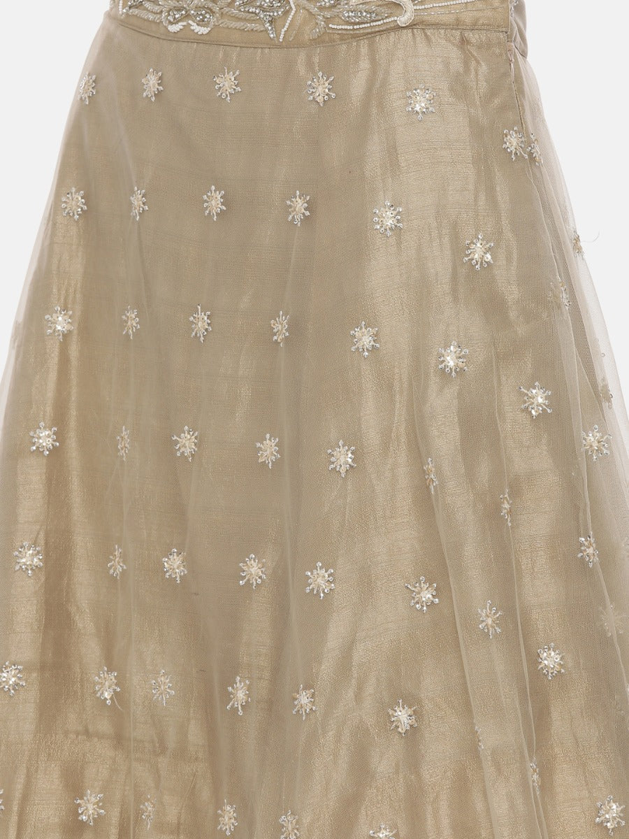 Neerus Beige net embellished lehenga set - detail view 5
