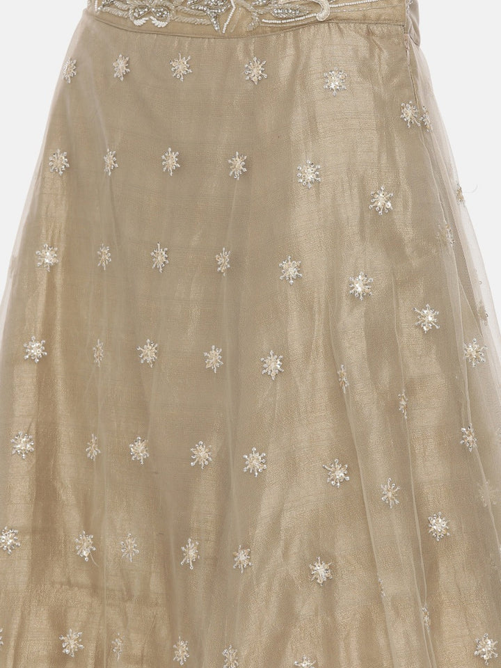 Neerus Beige net embellished lehenga set - detail view 5