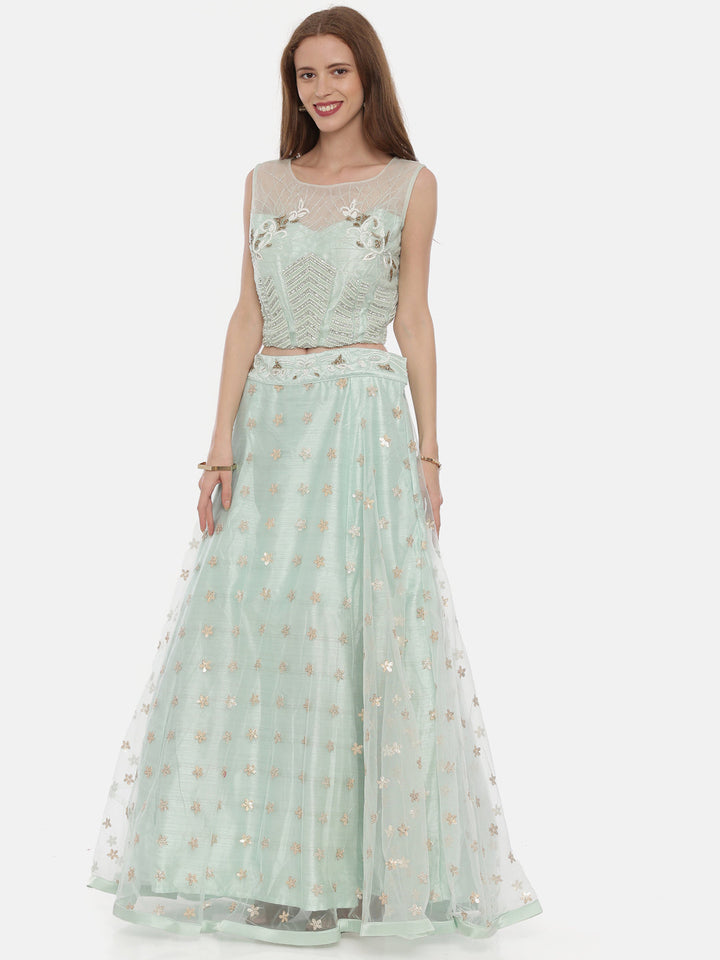 Neerus Green net embellished lehenga set - back view