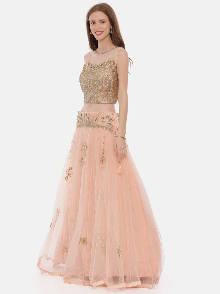 Neerus Pink net embellished lehenga ghagra set - detail view 1