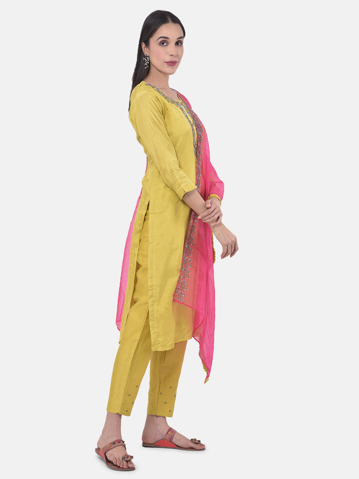 Neerus Yellow embellished kurta set with pant and dupatta - back view