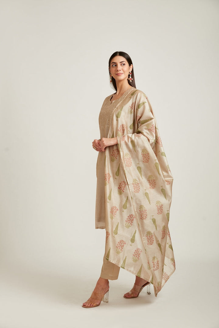 Neerus Beige Chanderi woven suit set - back view