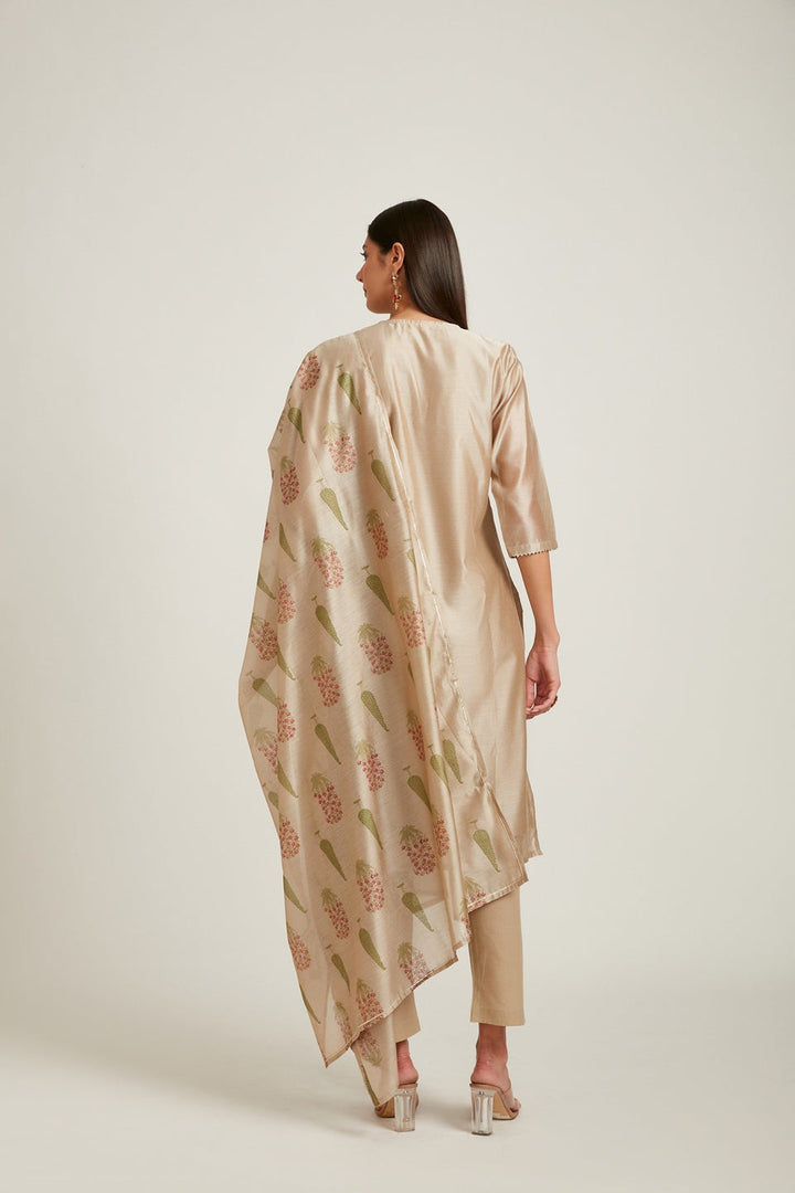 Neerus Beige Chanderi woven suit set - side view