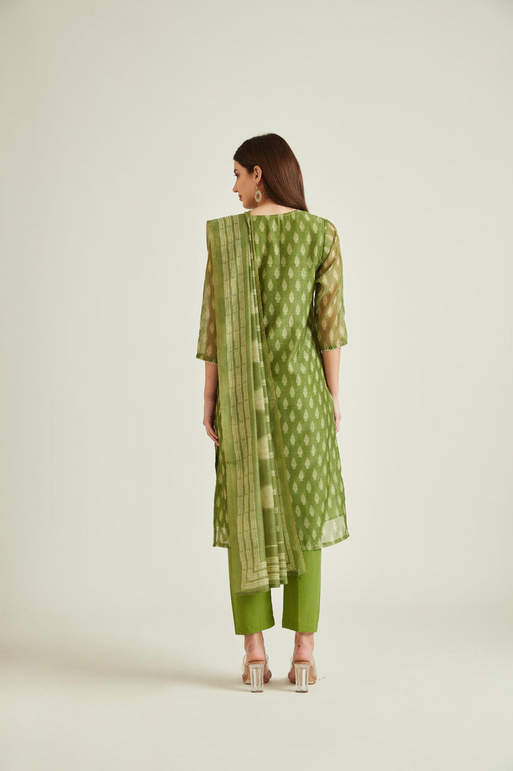 Neerus Green Banarasi woven kurta set - back view