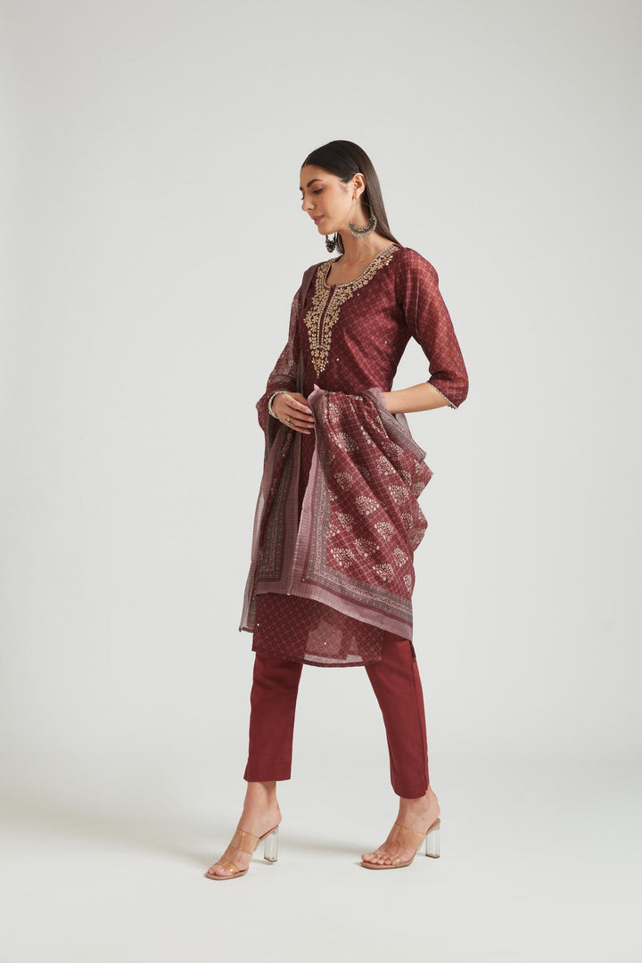 Neerus Brown Chanderi Cotton Embellished Kurta Set - back view