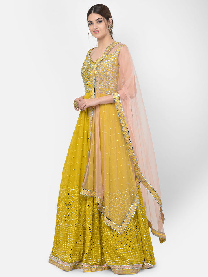 Neerus Yellow georgette mirror work gown with dupatta - back view