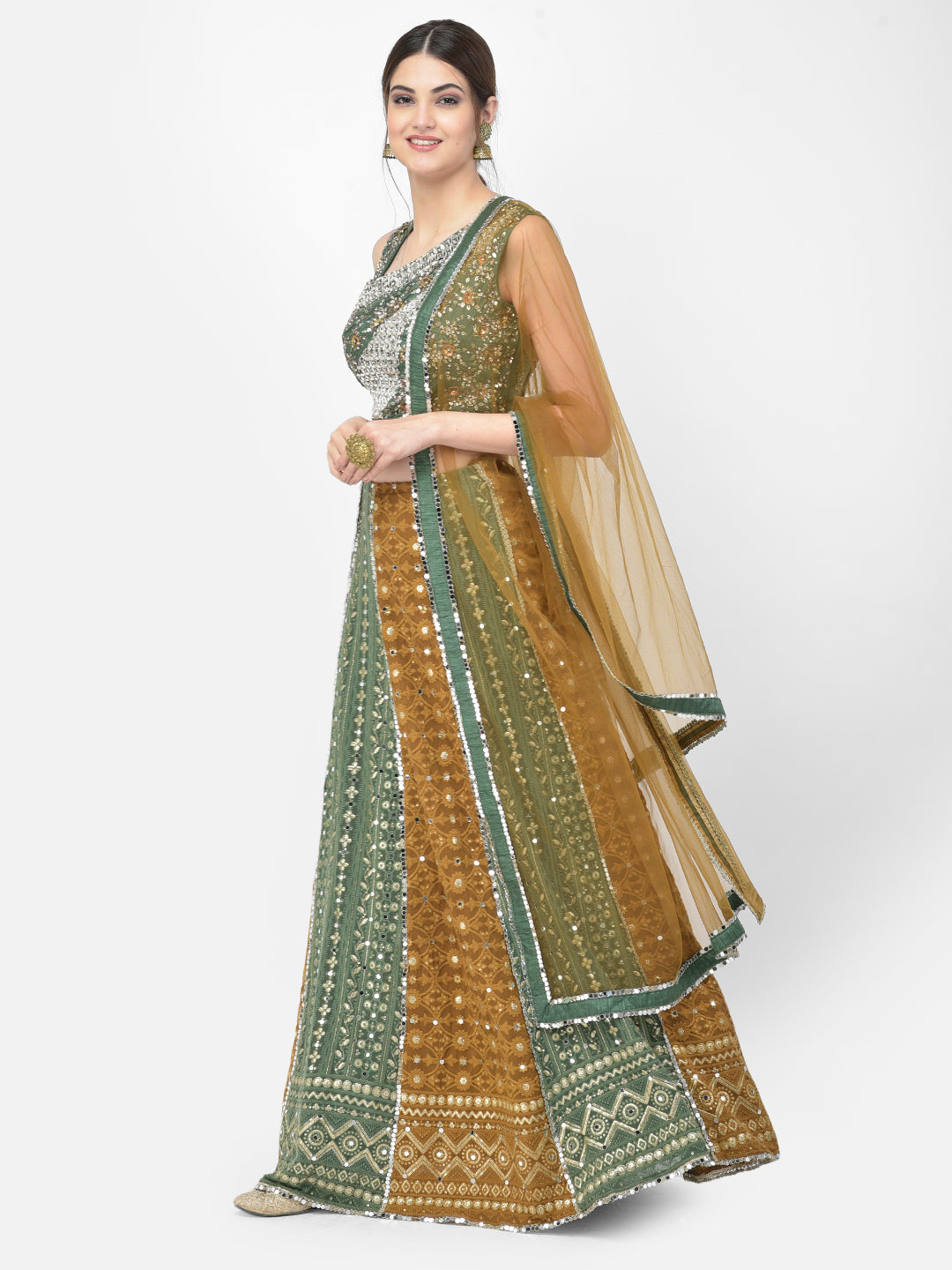 Neerus Multi georgette embellished lehenga choli set - back view