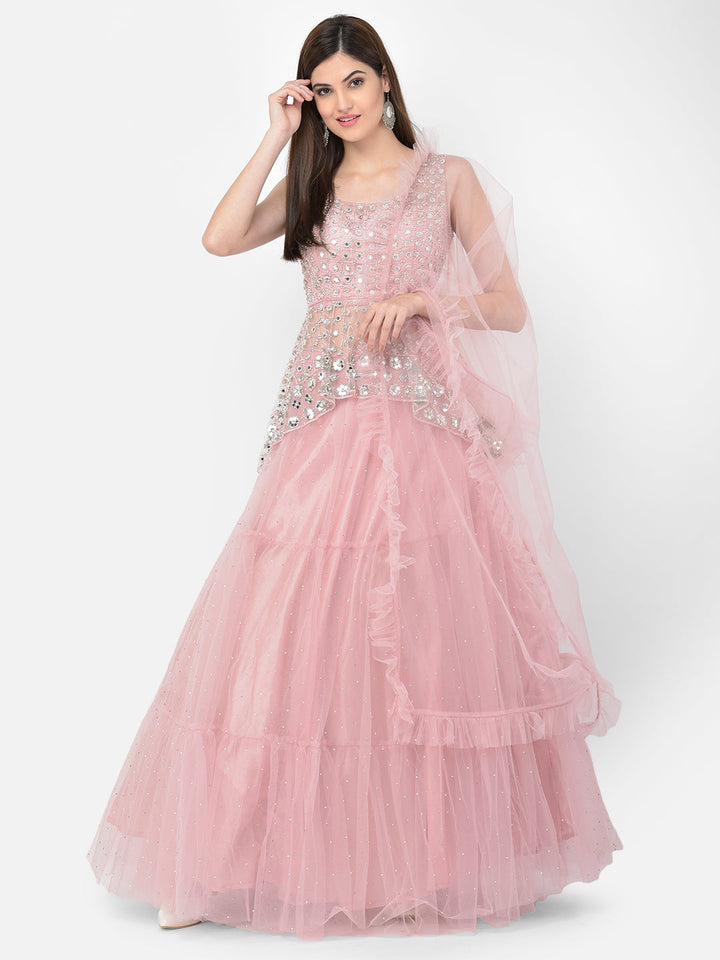 Neerus Pink net embellished lehenga choli set - back view