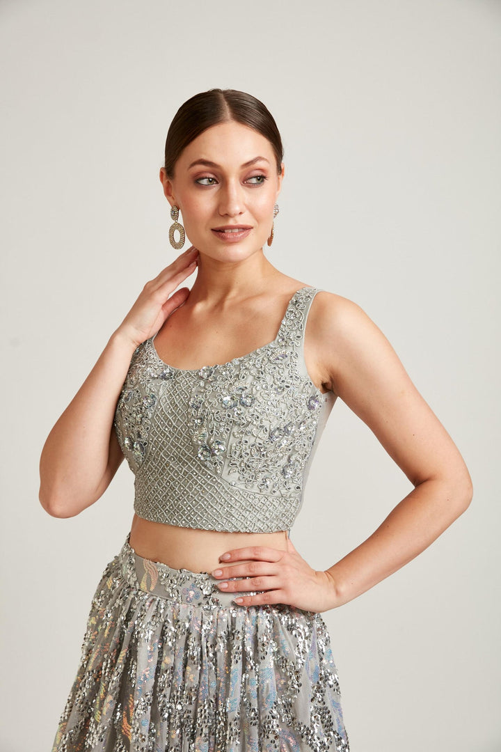 Neerus Grey net embellished lehenga choli set - back view