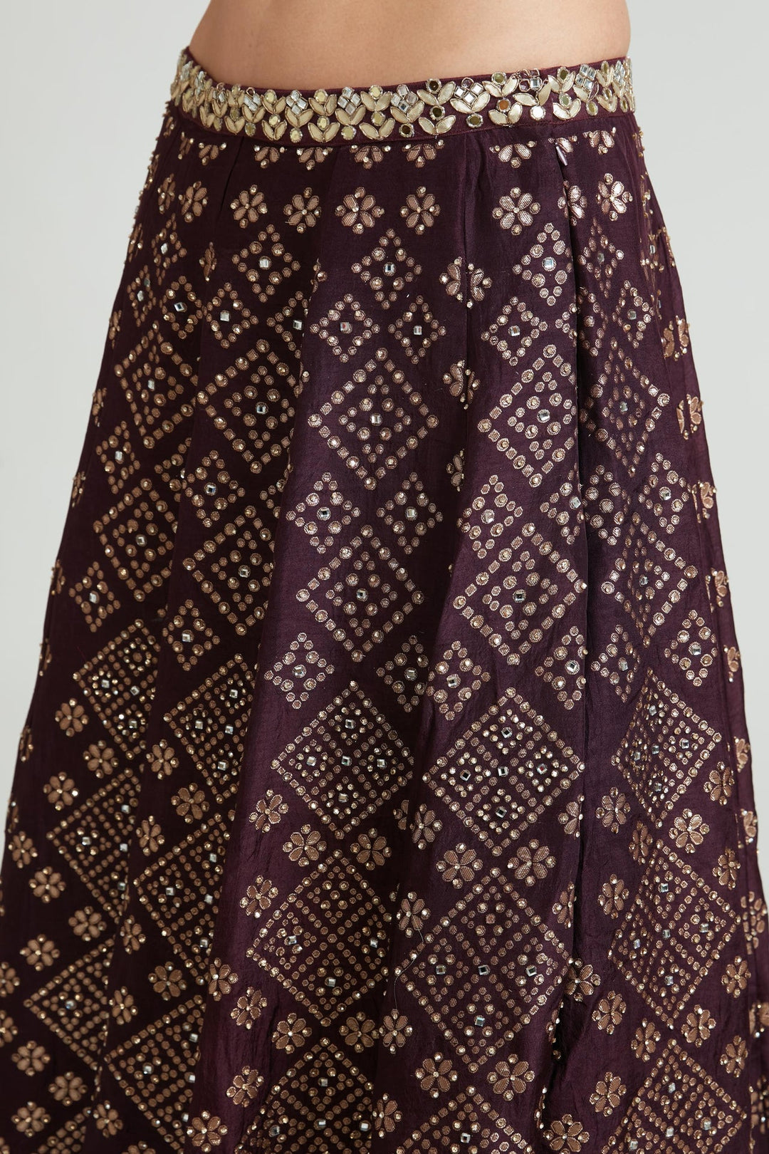 Neerus Maroon Banarasi woven lehenga choli set - detail view 2