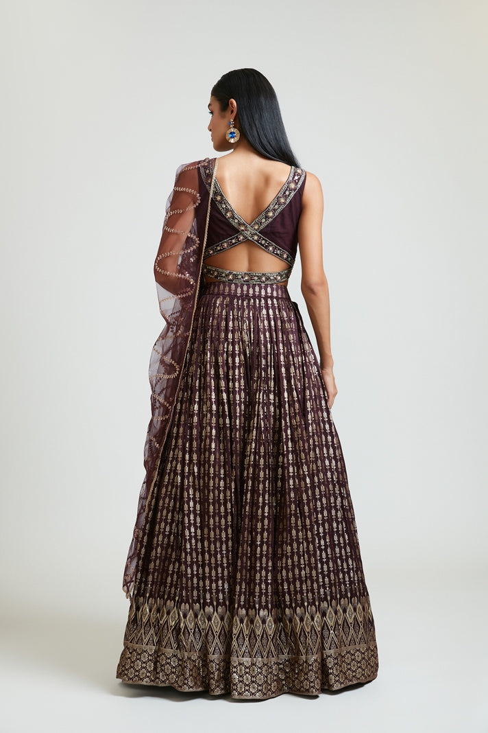Neerus Maroon Banarasi woven lehenga set - side view
