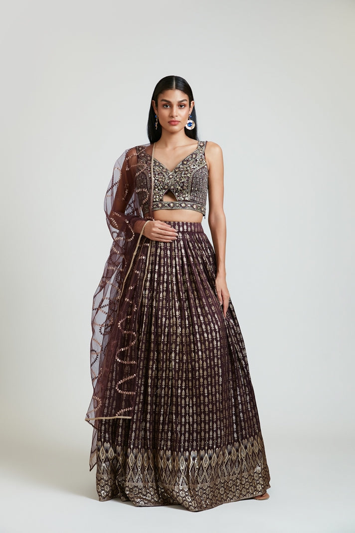 Neerus Maroon Banarasi woven lehenga set - front view