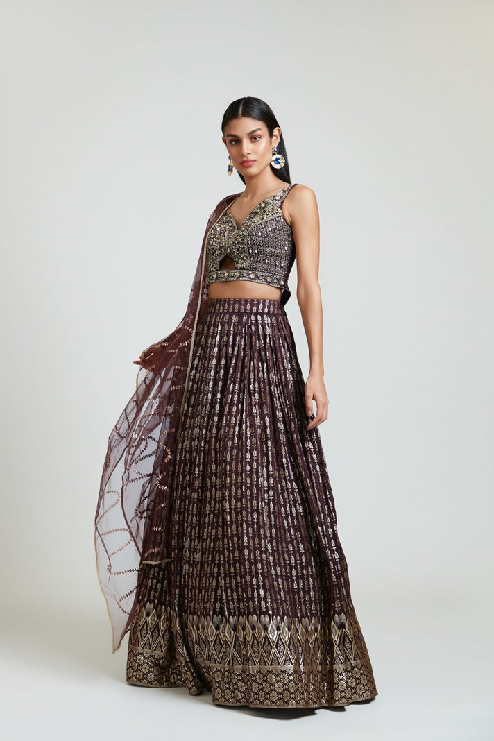 Neerus Maroon Banarasi woven lehenga set - back view