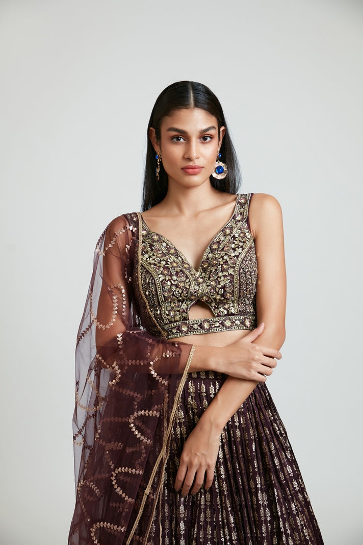 Neerus Maroon Banarasi woven lehenga set - detail view 5