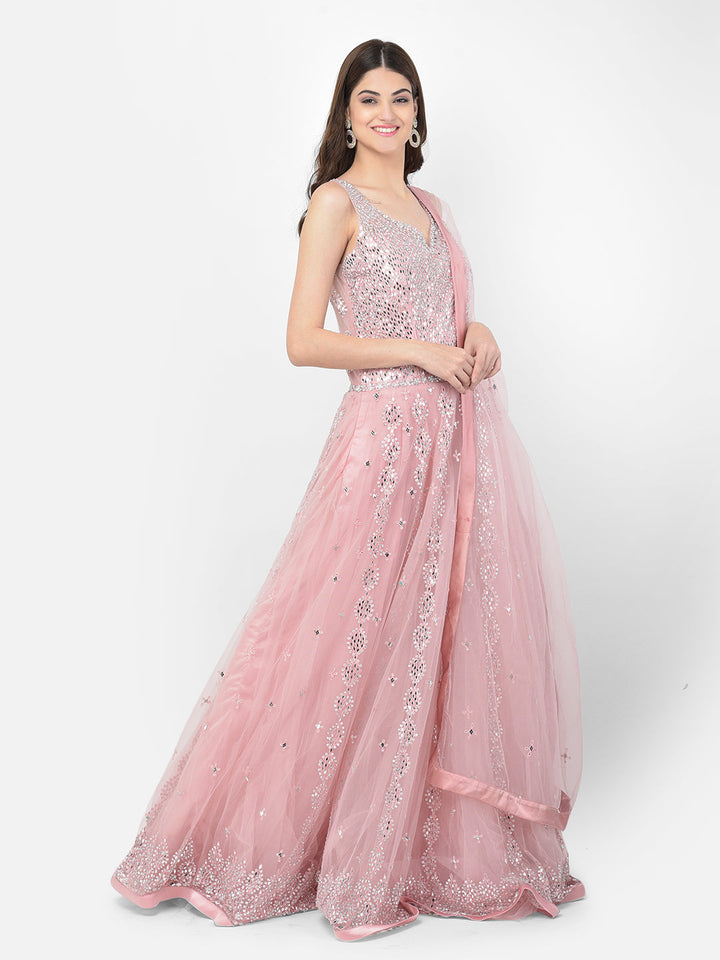 Neerus Pink net mirror work gown - side view