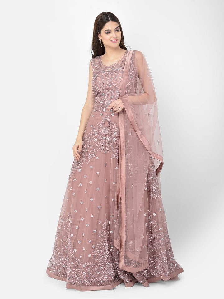Neerus Pink net mirror work gown - detail view 6