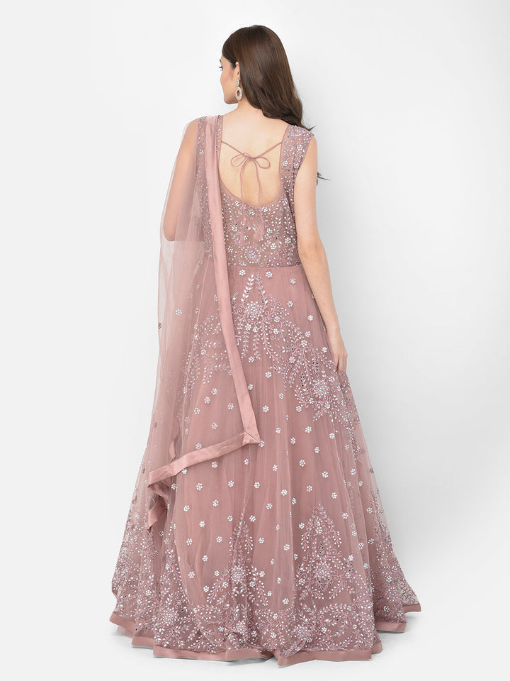 Neerus Pink net mirror work gown - detail view 2