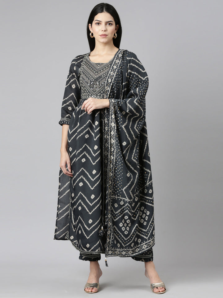 Neerus Grey printed Nyra cut kurta set - front view