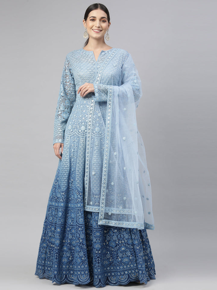 Neerus Blue net embroidered gown - front view
